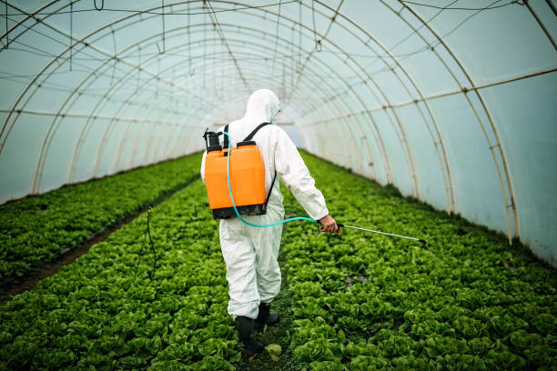 Best Best Pest Control Companies  in Hastings On Hudson, NY