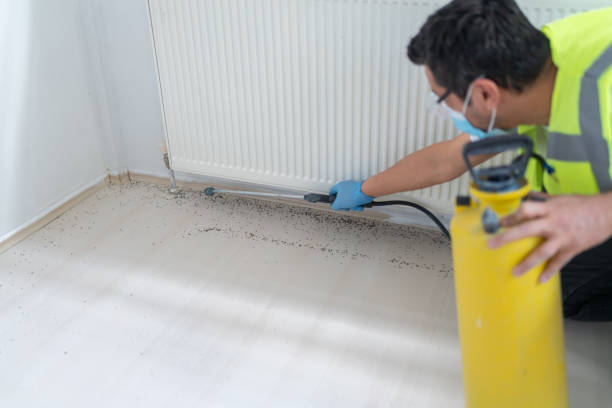 Trusted Hastings On Hudson, NY Pest Control Experts