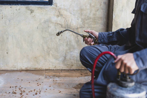 Best Exterminator Services  in Hastings On Hudson, NY